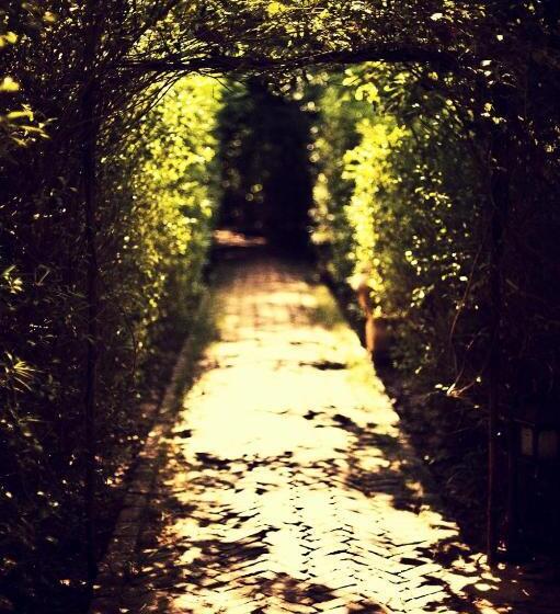 The Tree House Resort