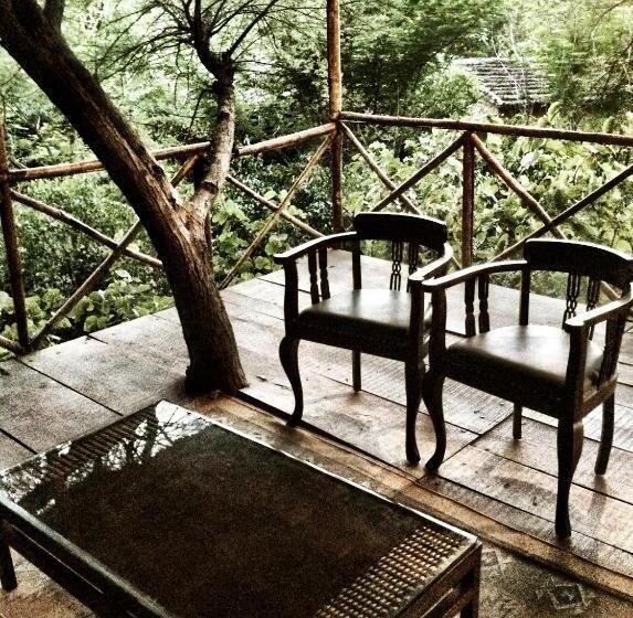 The Tree House Resort
