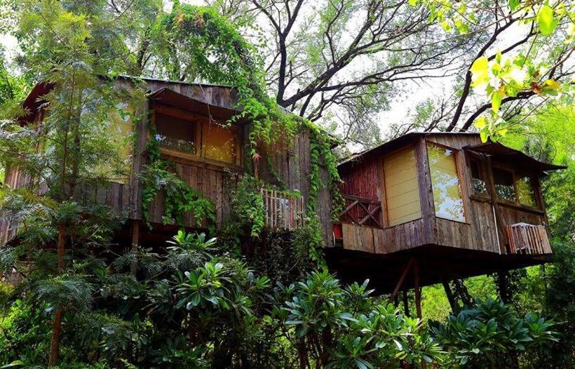 The Tree House Resort