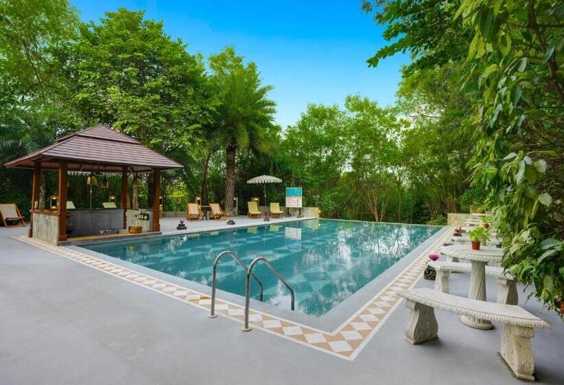 The Tree House Resort