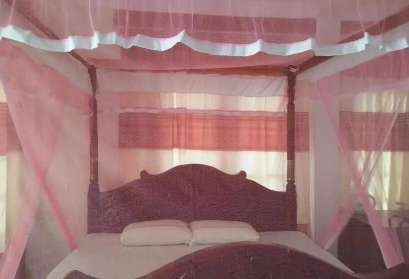Hostel Old Town