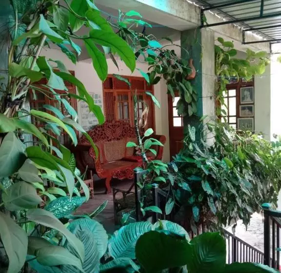 Hostel Old Town