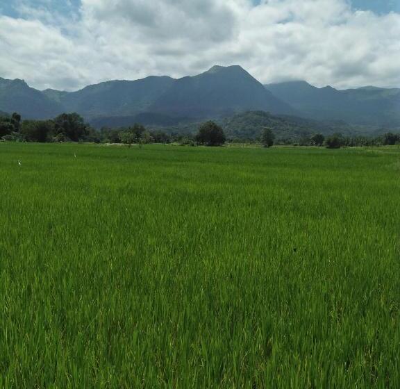 فندق صغير Old Town