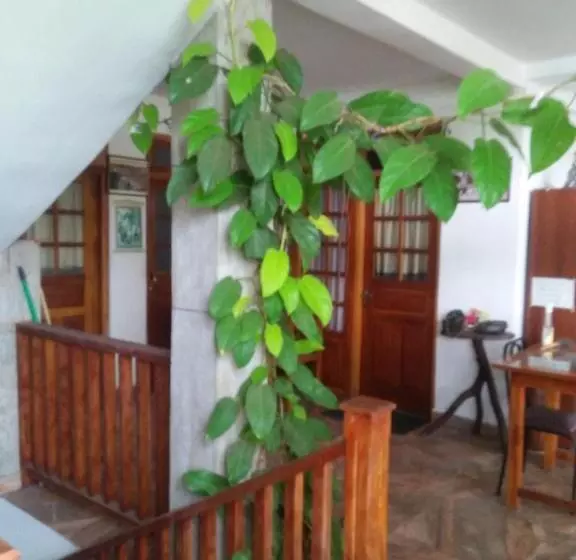 Hostel Old Town