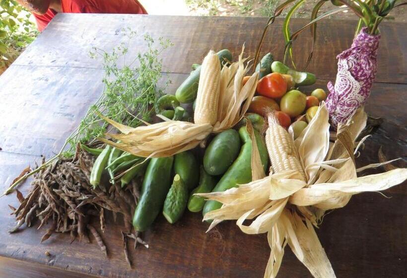 تختخواب و صبحانه Bahati Diani House Glamping