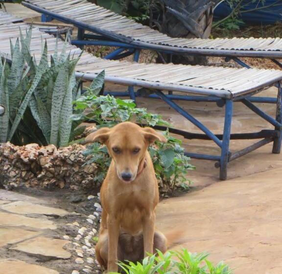 تختخواب و صبحانه Bahati Diani House Glamping