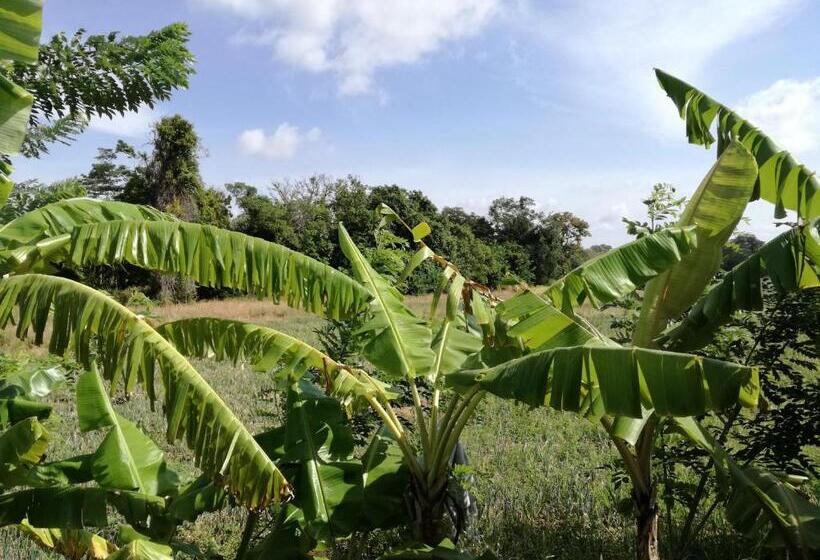 Bed and Breakfast Keth Hala