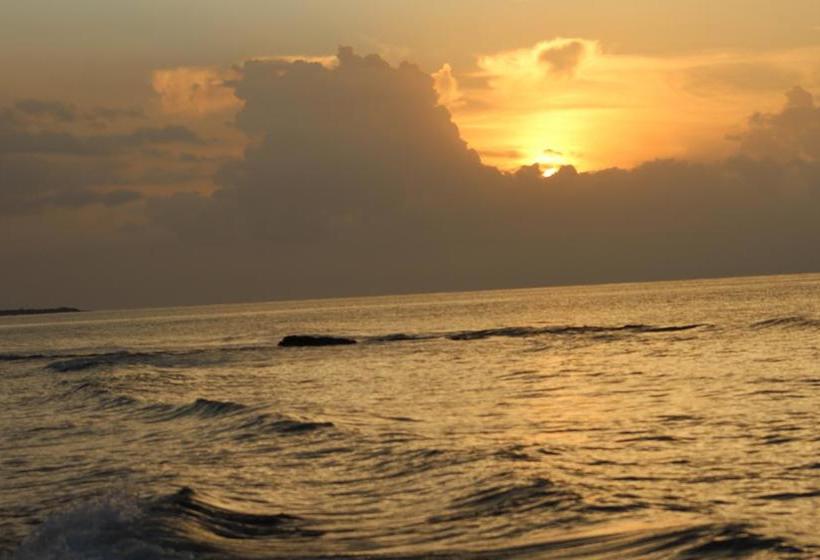 Hotel Deadend Cottages