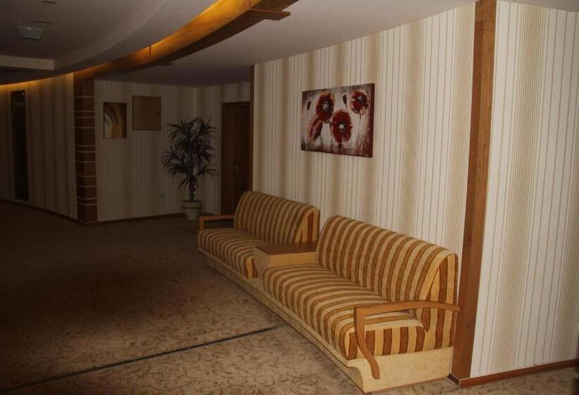 هتل Saleem Afandi