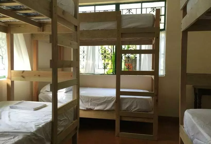 Backpackers Hostel