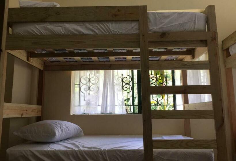 Backpackers Hostel