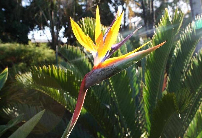 住宿加早餐  Aan D'oewer