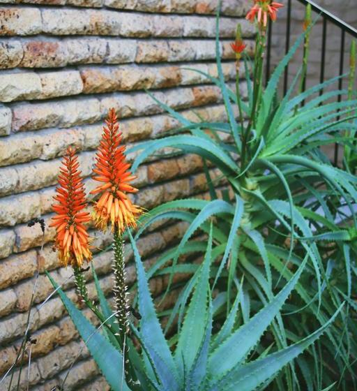 住宿加早餐  Aan D'oewer