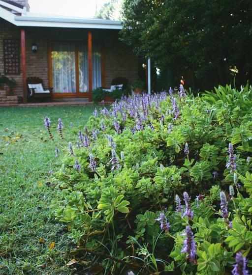 住宿加早餐  Aan D'oewer