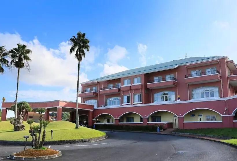 Camel Hotel Resort
