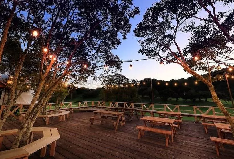 Camel Hotel Resort