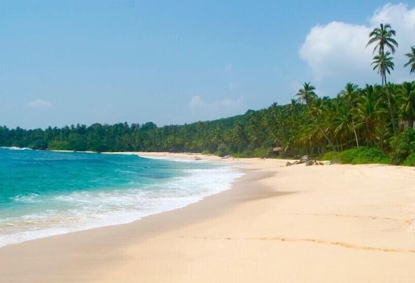 渡假胜地  Esperanza Beach Mawella