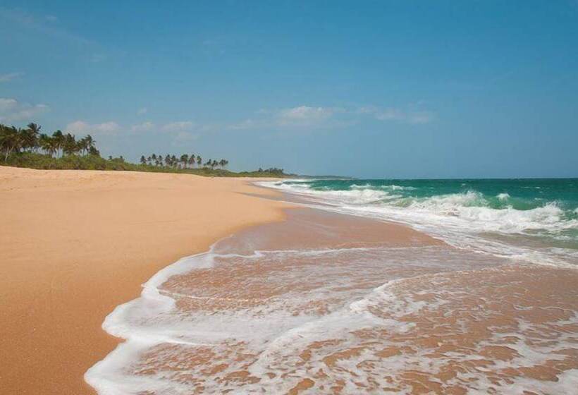 渡假胜地  Esperanza Beach Mawella