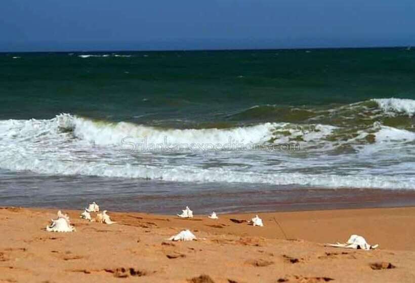 渡假胜地  Esperanza Beach Mawella