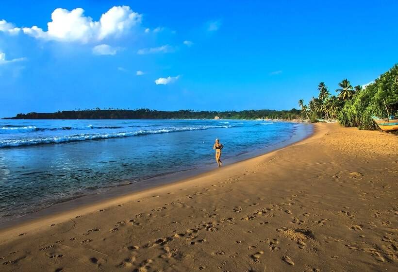 渡假胜地  Esperanza Beach Mawella