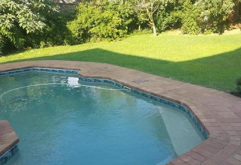 Albatross B&b