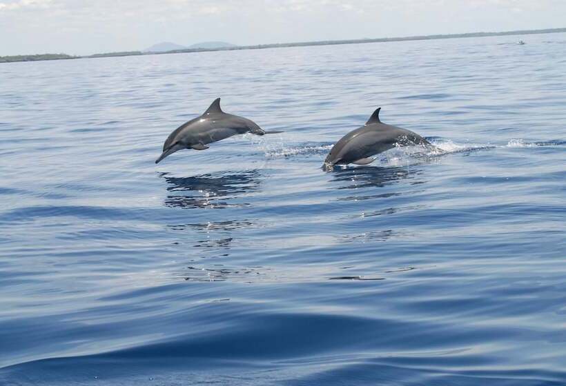 تختخواب و صبحانه Upani In Diani