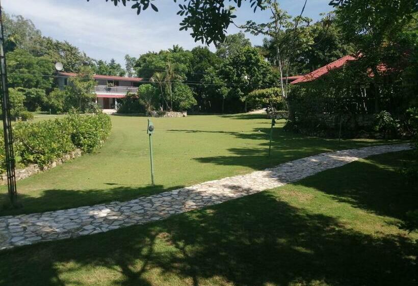 هتل La Casa De Don David