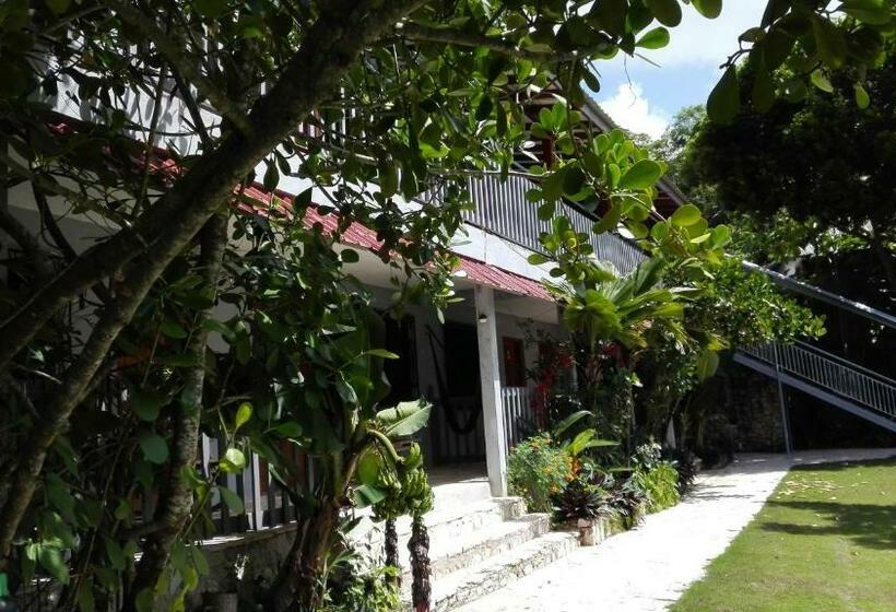 هتل La Casa De Don David