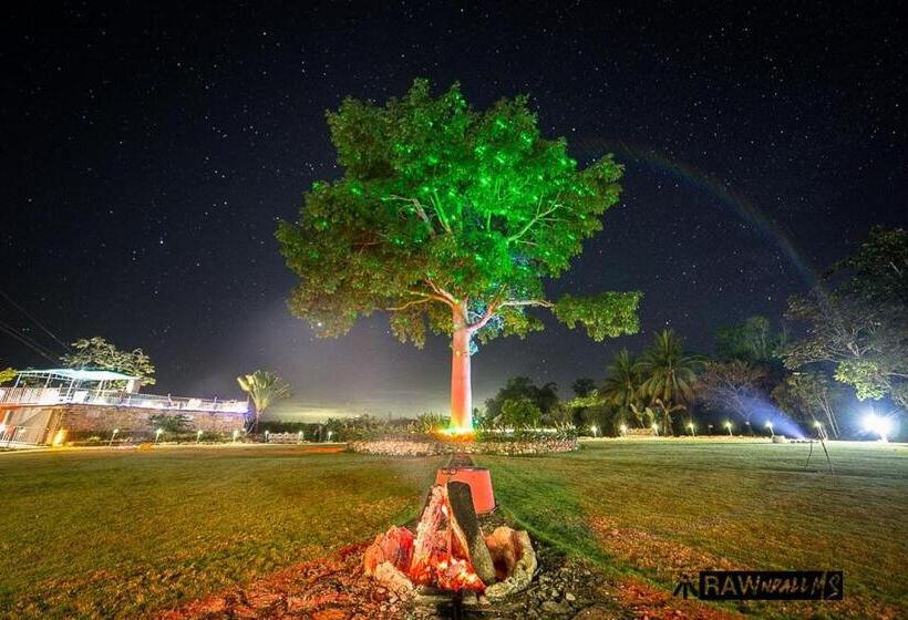 هتل La Casa De Don David