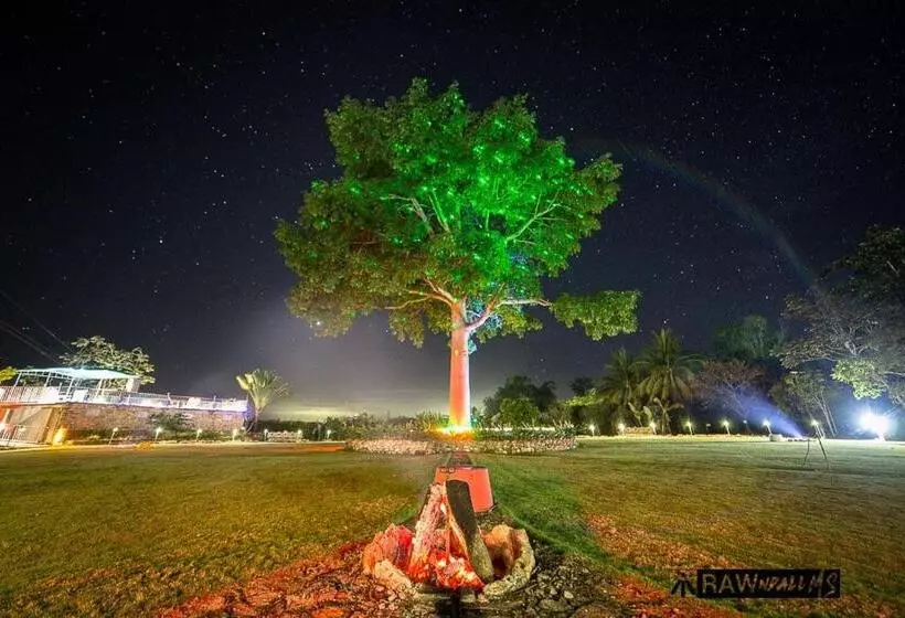 هتل La Casa De Don David