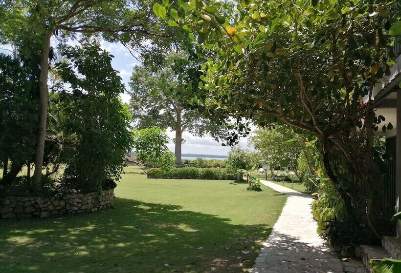 هتل La Casa De Don David