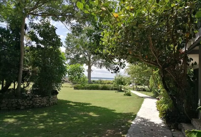 هتل La Casa De Don David