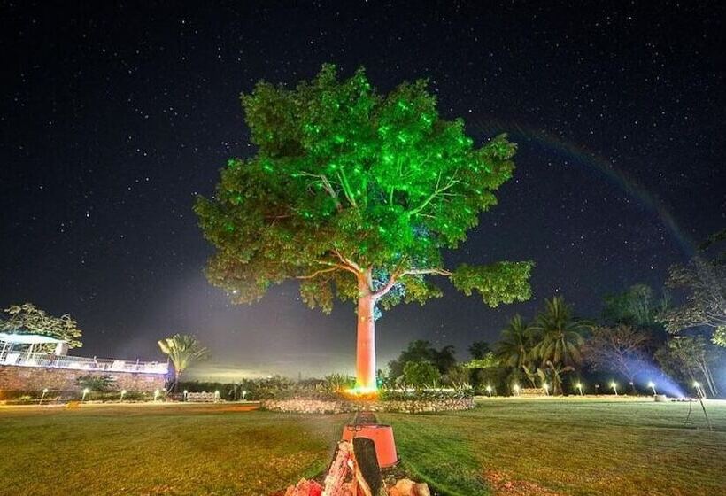 هتل La Casa De Don David