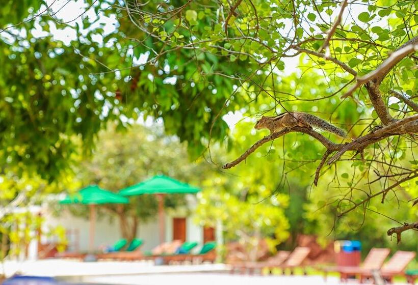 فندق Oak Ray Elephant Lake