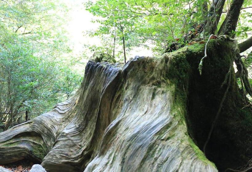 Рёкан Miyanouraso