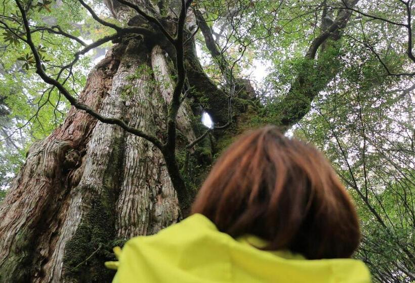 Рёкан Miyanouraso