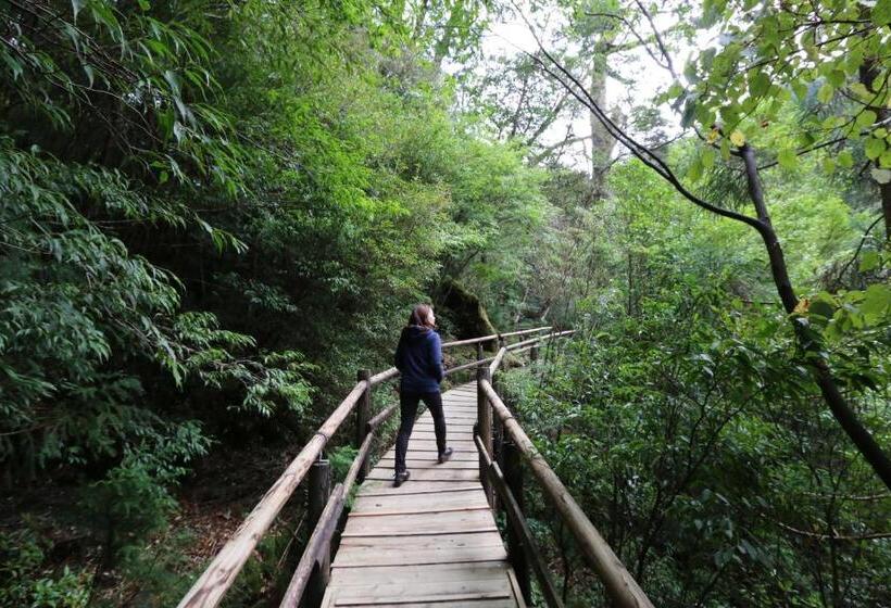 Рёкан Miyanouraso