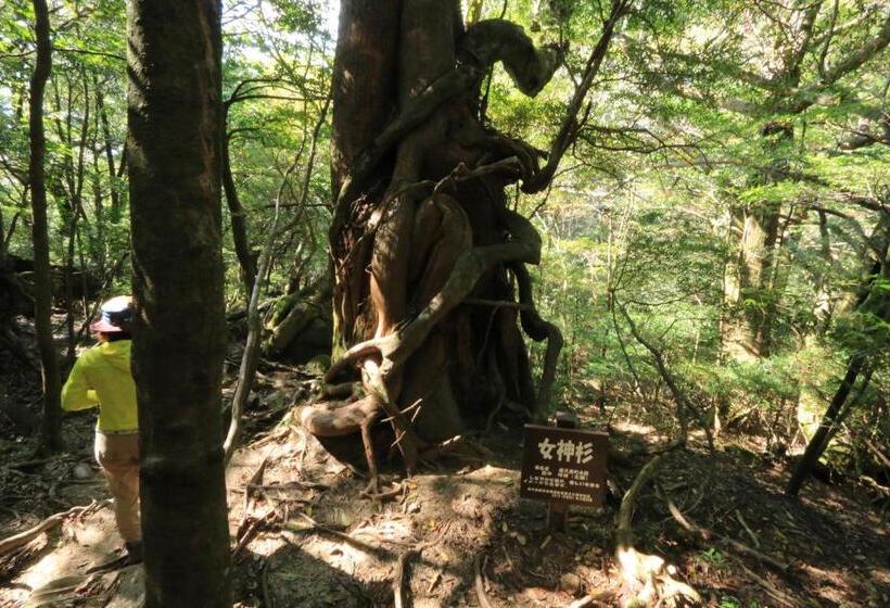 Рёкан Miyanouraso