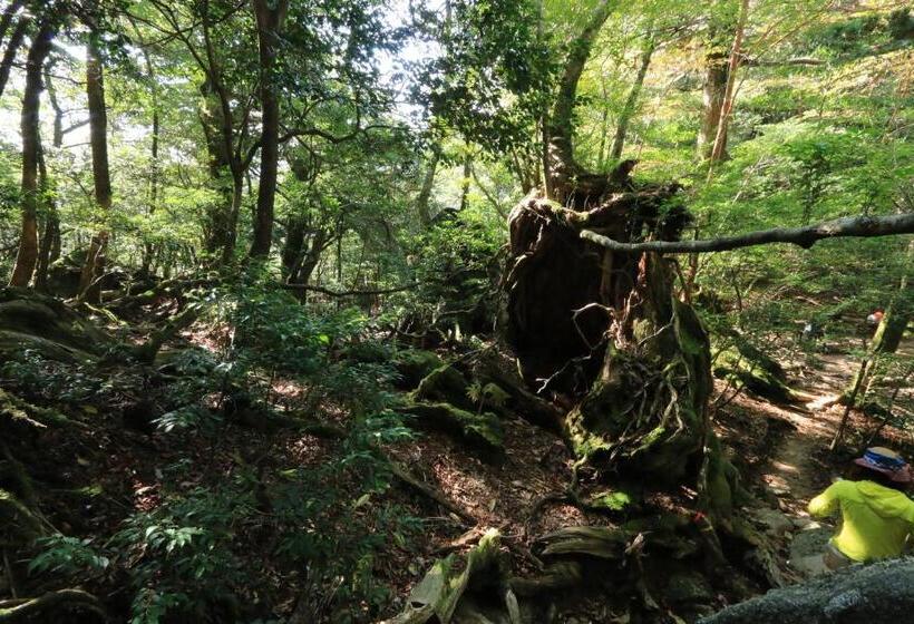 Рёкан Miyanouraso