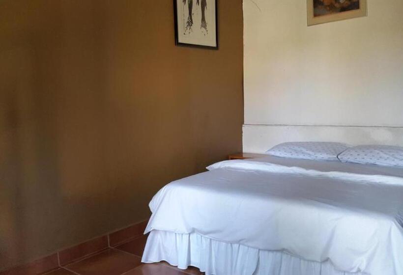 Accoustix Backpackers Hostel