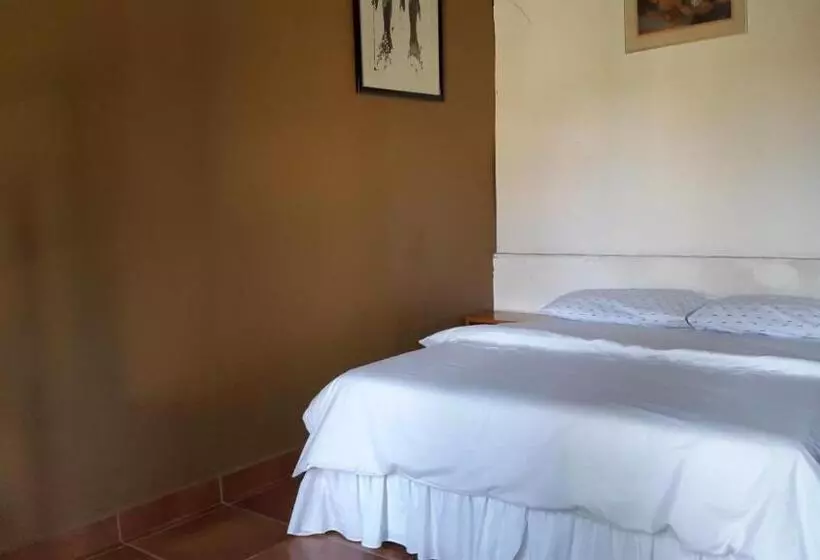 Accoustix Backpackers Hostel