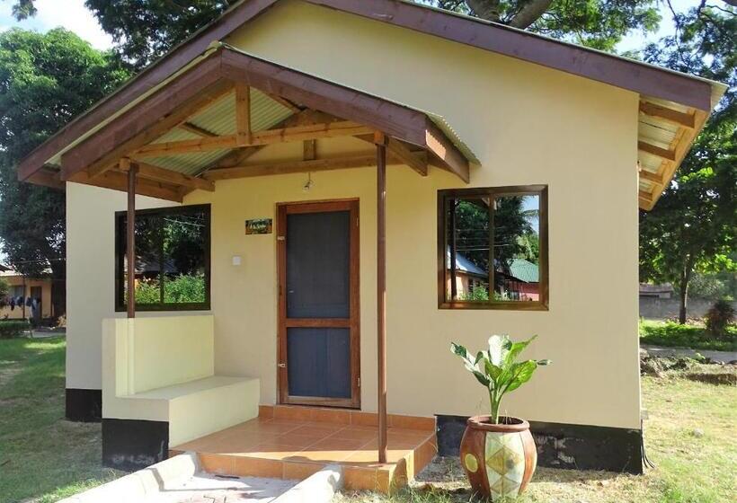 هاستل Mgulani Lodge