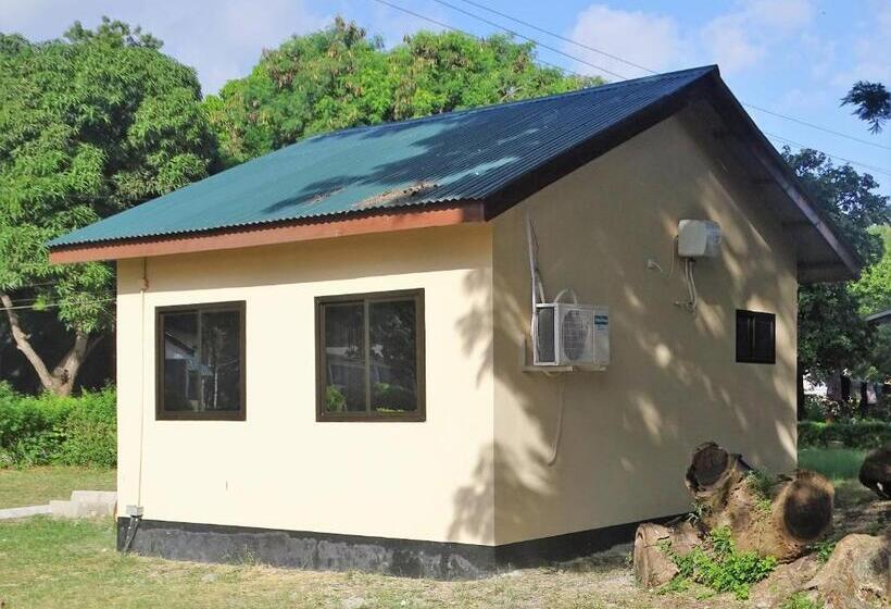 هاستل Mgulani Lodge