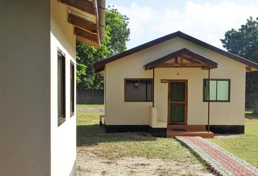 هاستل Mgulani Lodge