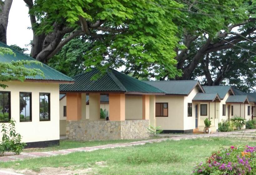 هاستل Mgulani Lodge