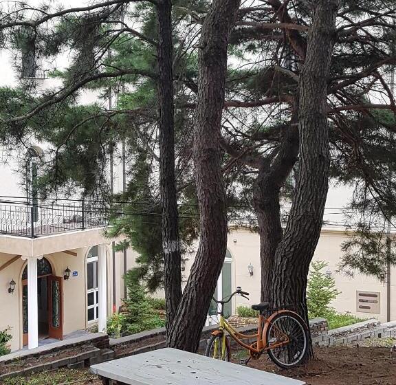 Cămin The Castle Stay