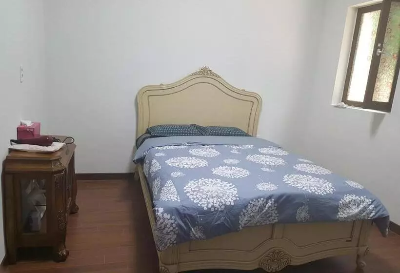 هاستل The Castle Stay