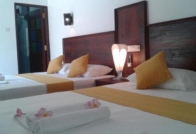 Bed and Breakfast Janus Paradise Rest