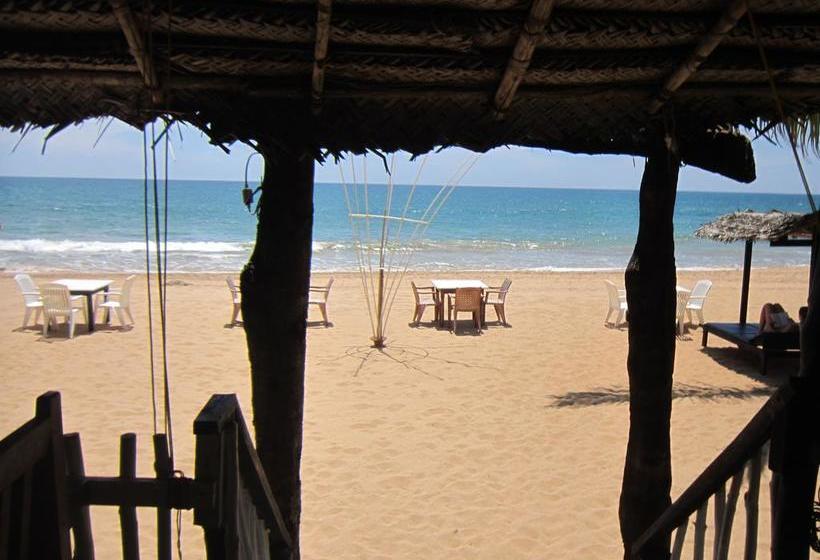 Bed and Breakfast Janus Paradise Rest