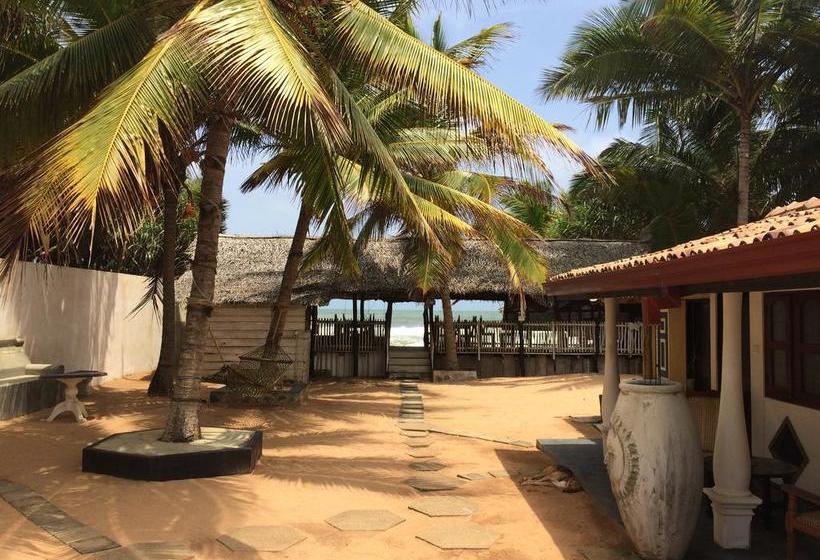 Bed and Breakfast Janus Paradise Rest